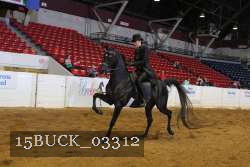 15BUCK_03312 proof
