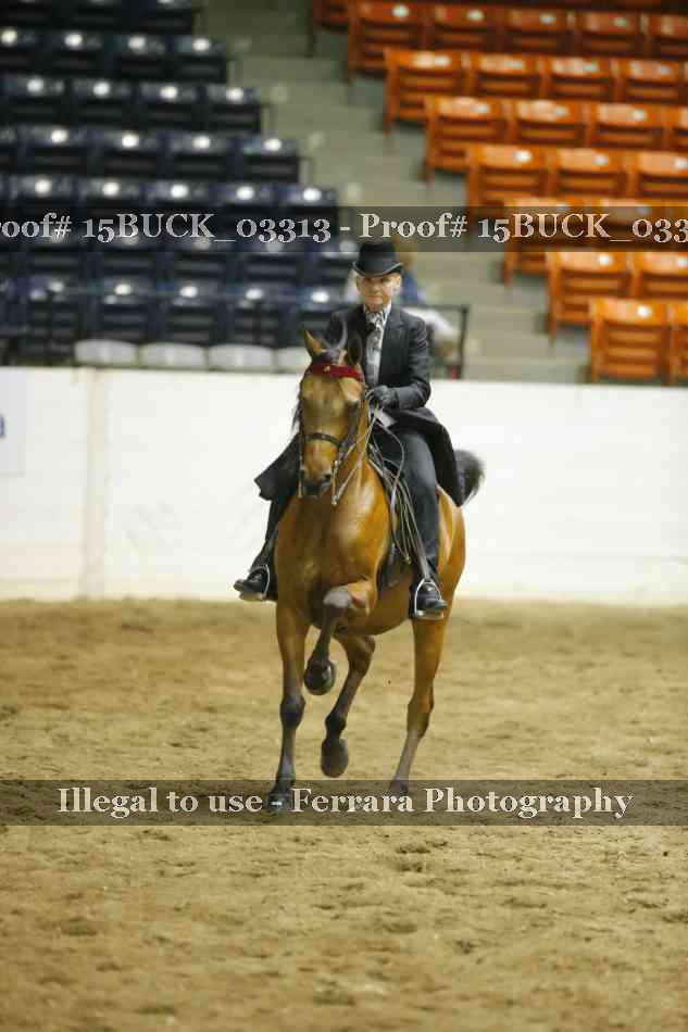 Proof 15BUCK_03313