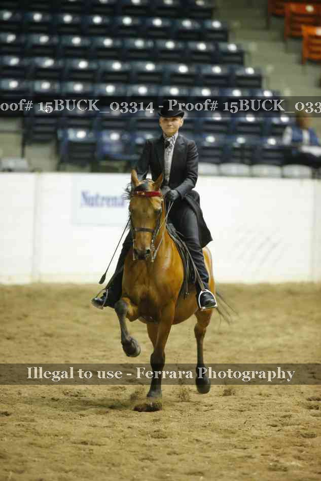 Proof 15BUCK_03314