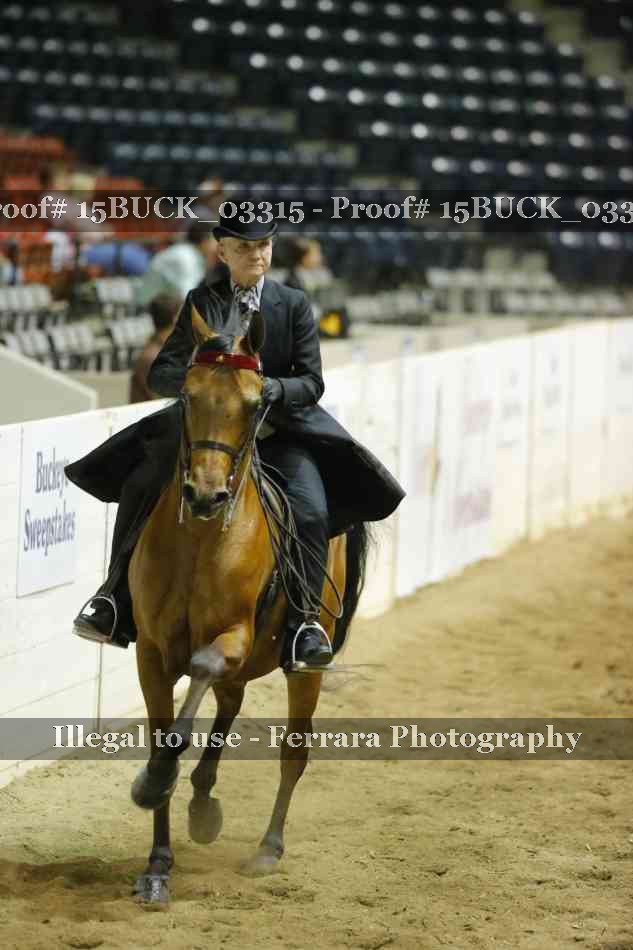 Proof 15BUCK_03315