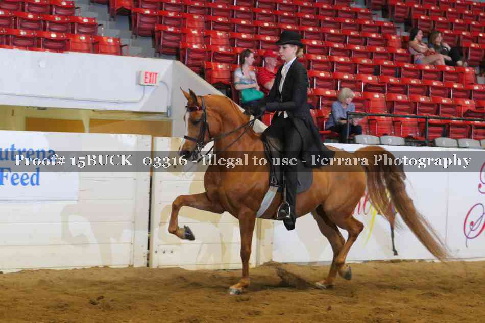 Proof 15BUCK_03316