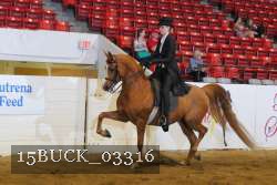 15BUCK_03316 proof