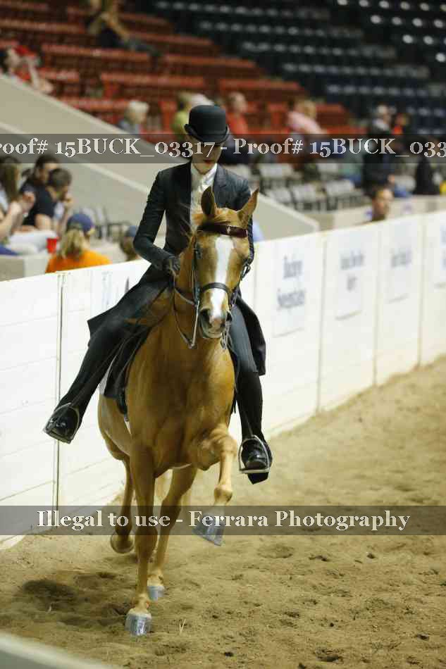Proof 15BUCK_03317