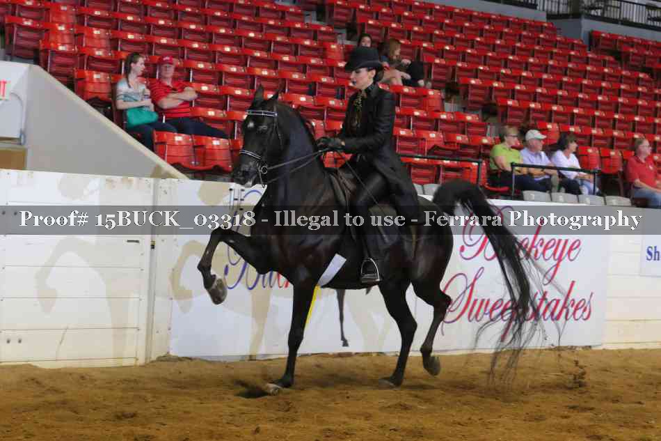 Proof 15BUCK_03318