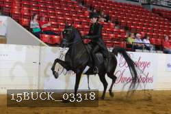 15BUCK_03318 proof