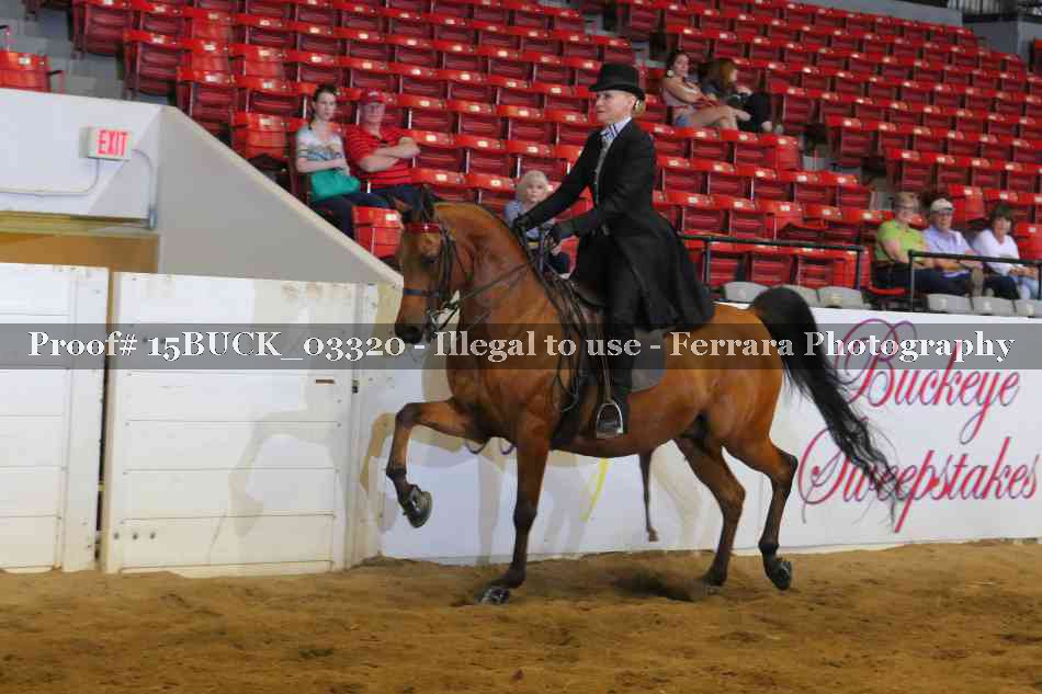 Proof 15BUCK_03320