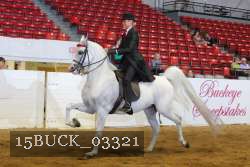 15BUCK_03321 proof
