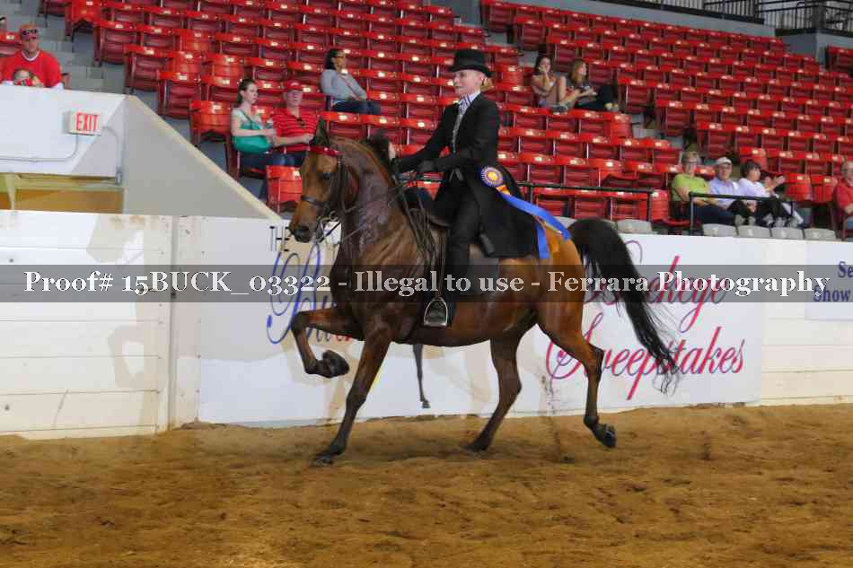 Proof 15BUCK_03322