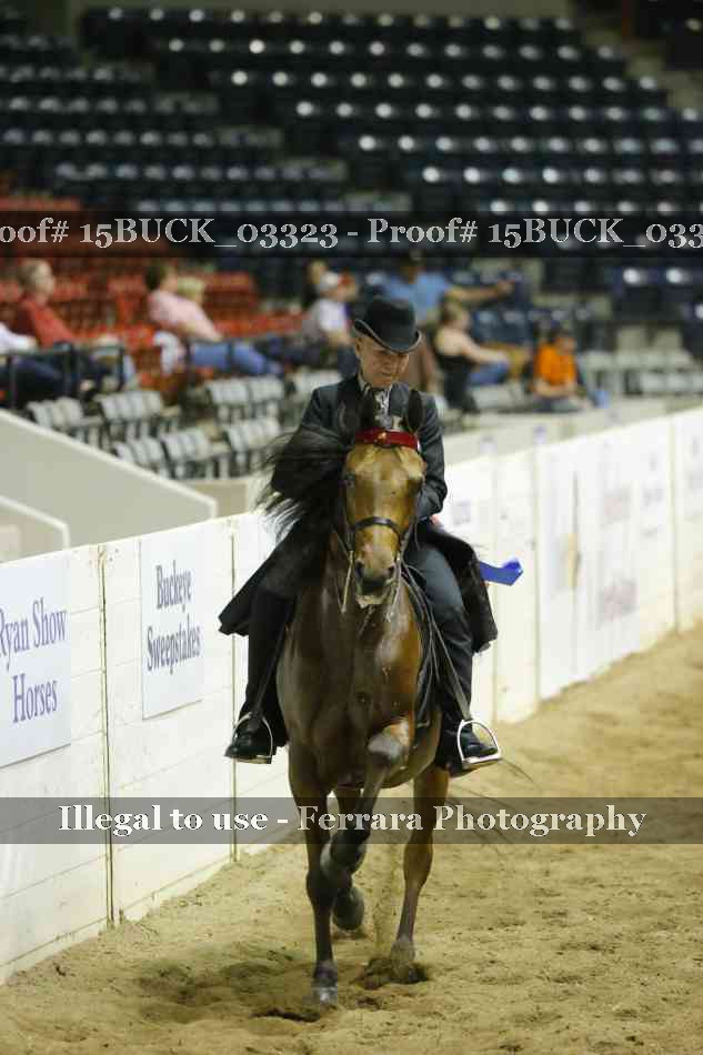 Proof 15BUCK_03323