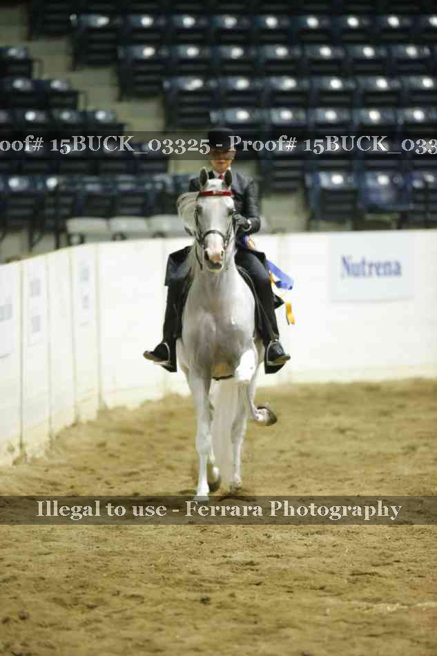Proof 15BUCK_03325