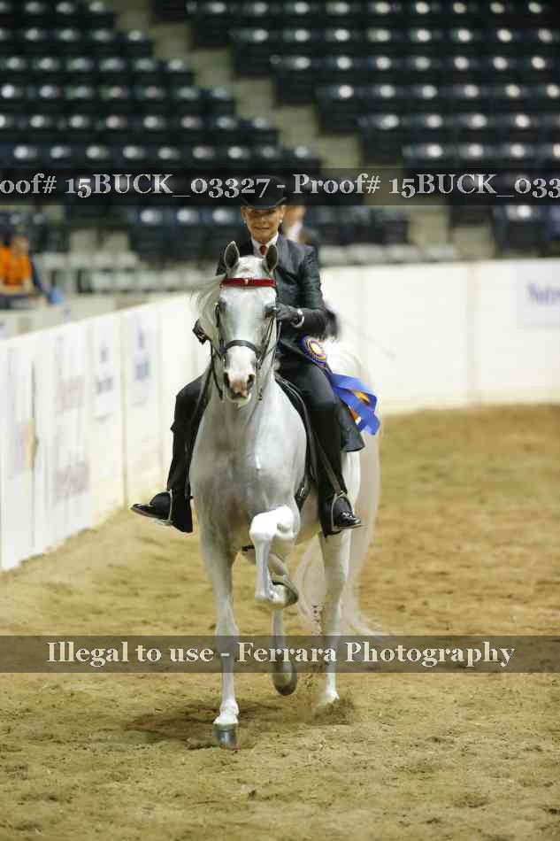 Proof 15BUCK_03327