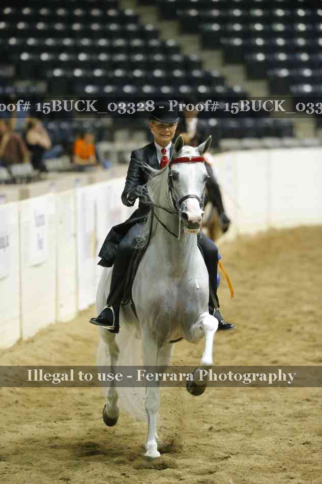 Proof 15BUCK_03328