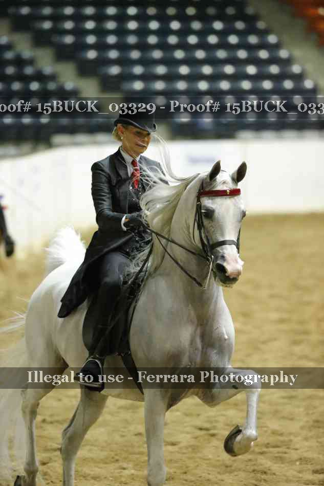 Proof 15BUCK_03329
