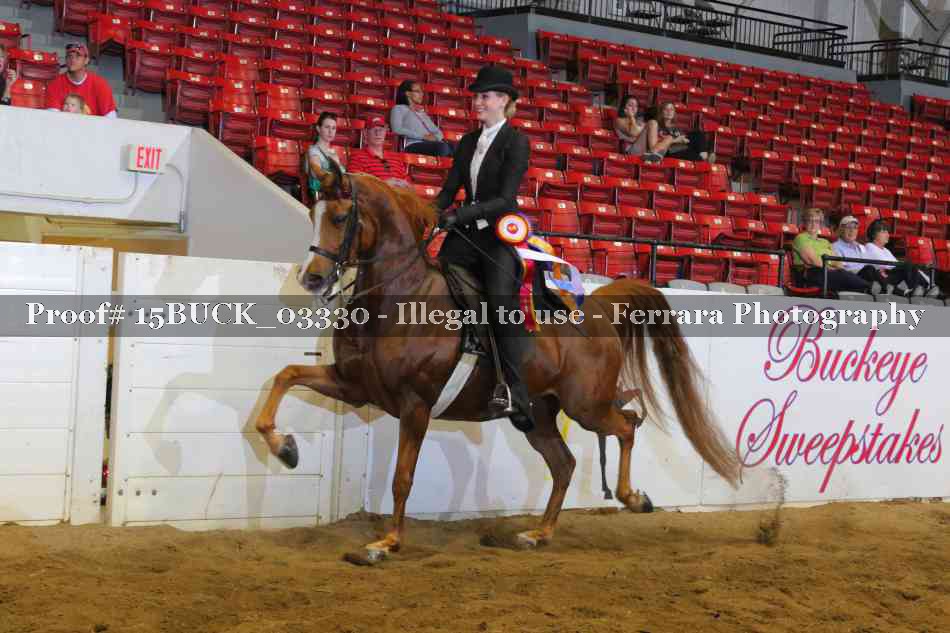 Proof 15BUCK_03330