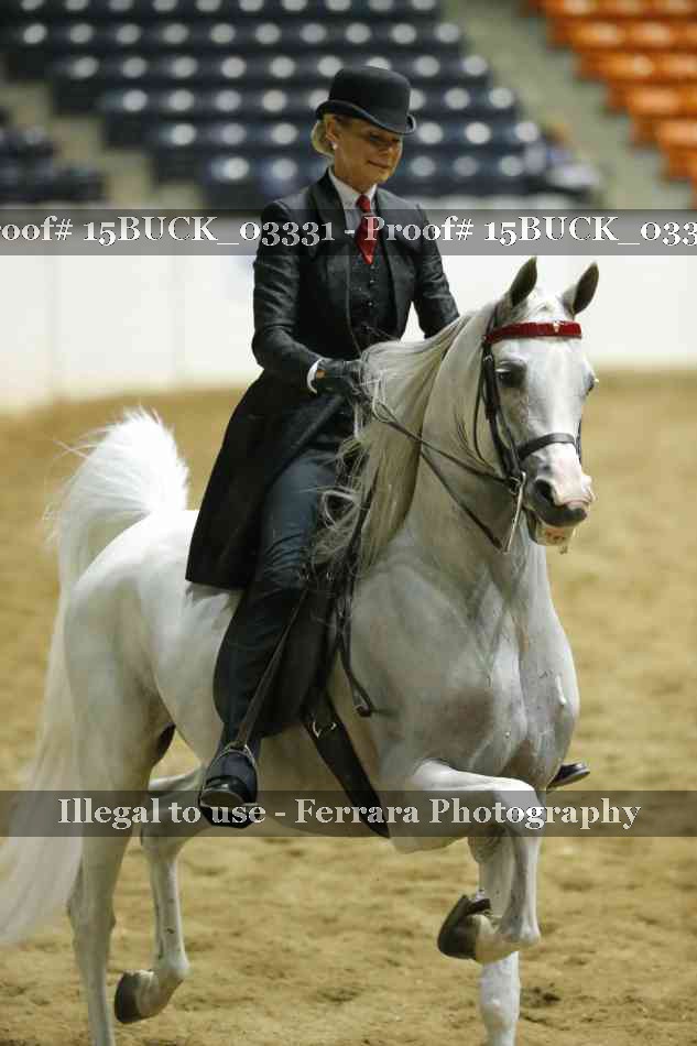Proof 15BUCK_03331