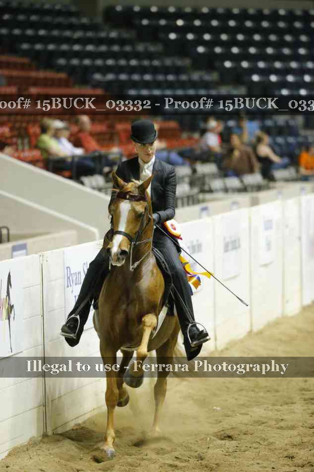 Proof 15BUCK_03332