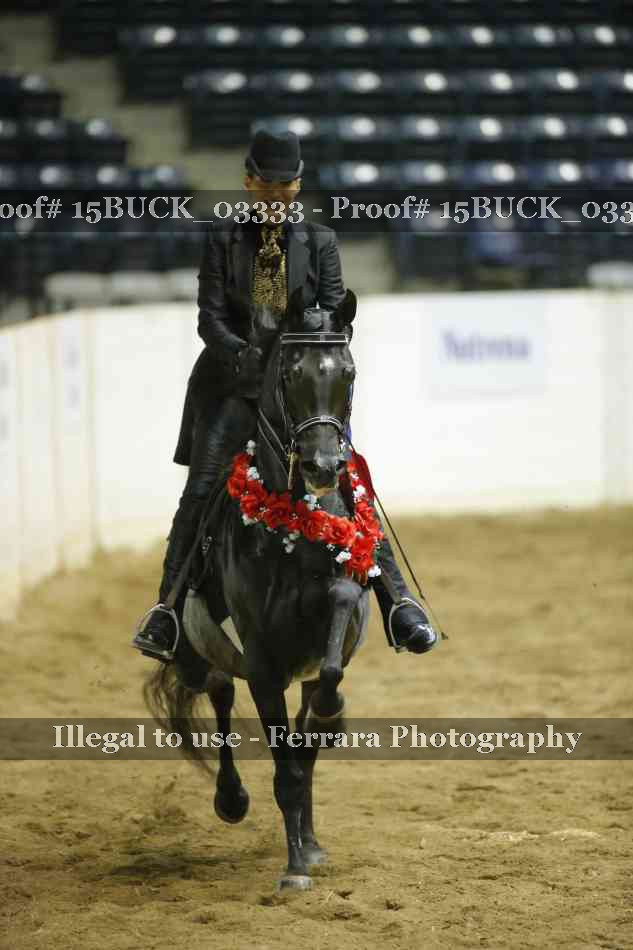 Proof 15BUCK_03333