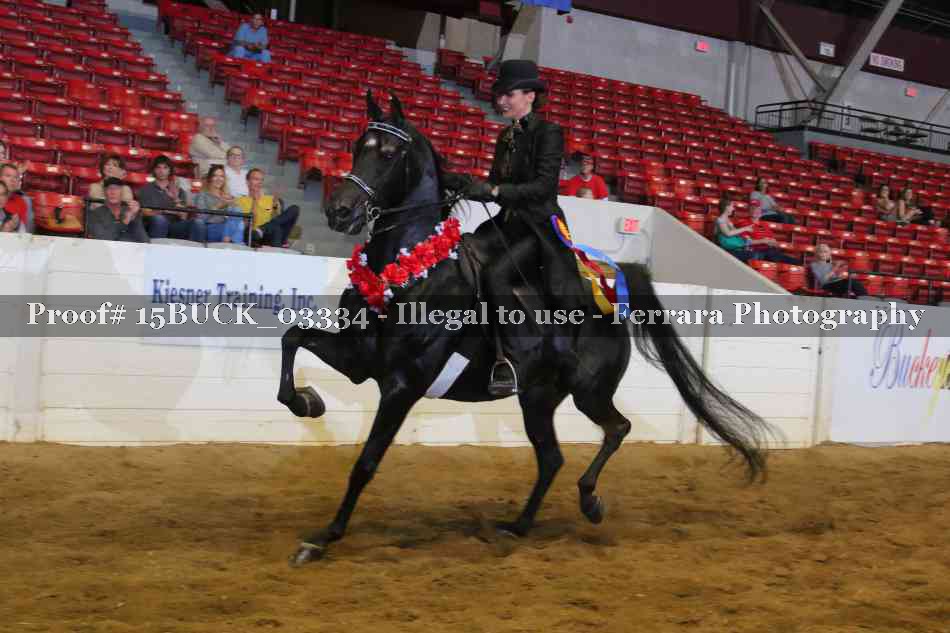 Proof 15BUCK_03334