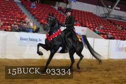 15BUCK_03334 proof
