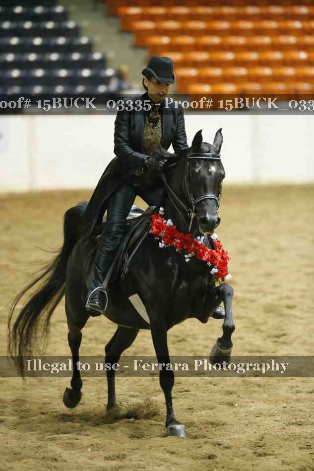 Proof 15BUCK_03335