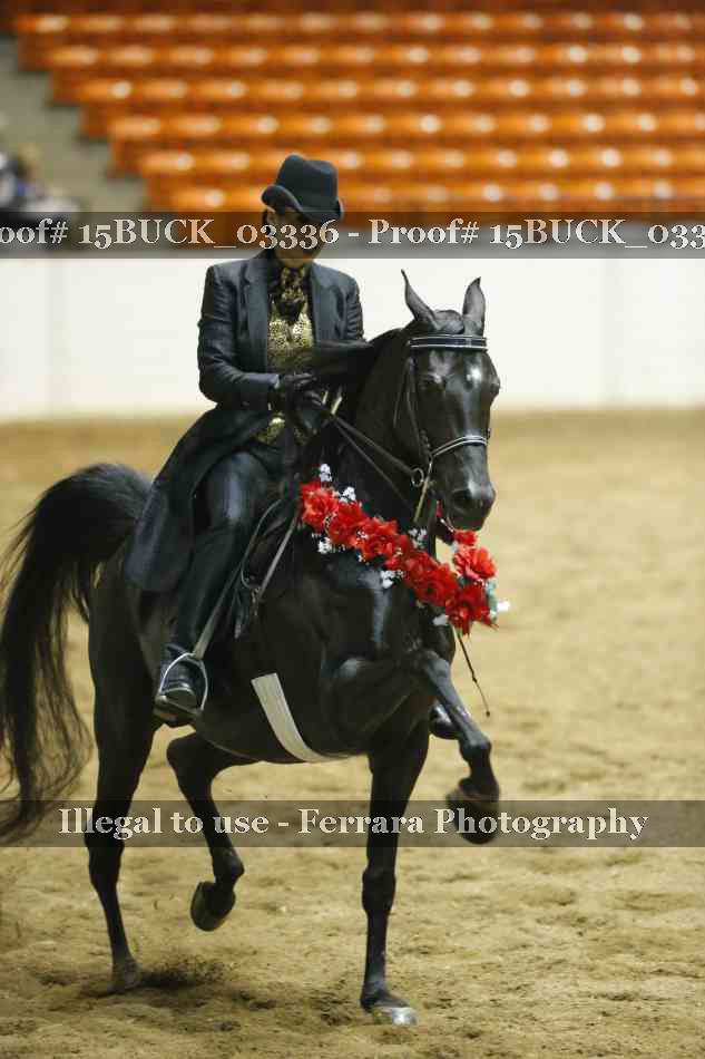 Proof 15BUCK_03336