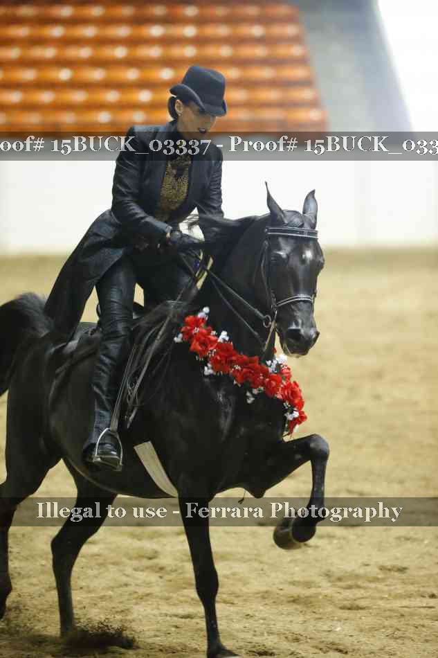 Proof 15BUCK_03337