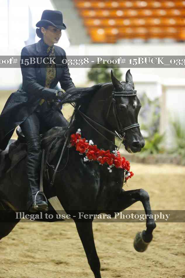 Proof 15BUCK_03338