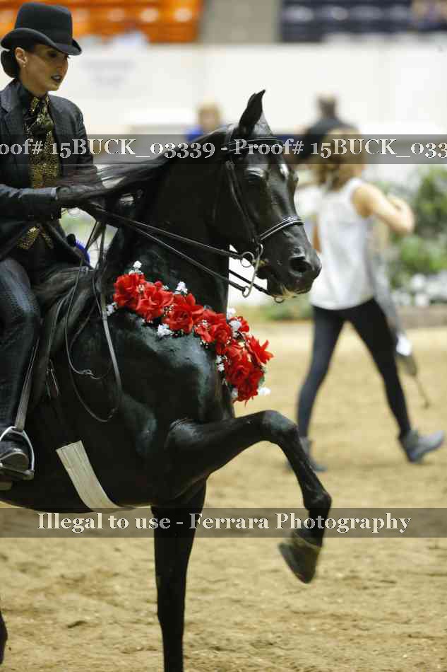 Proof 15BUCK_03339