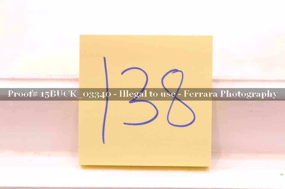 Proof 15BUCK_03340