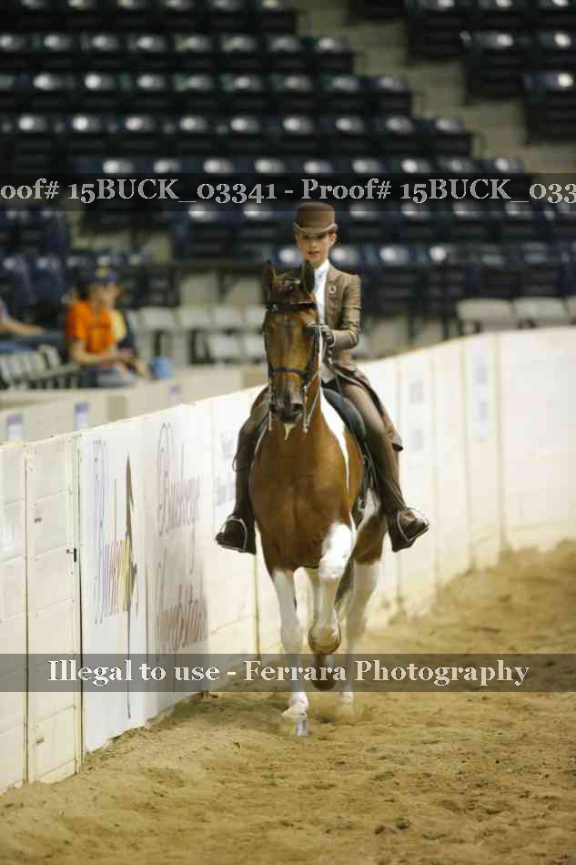 Proof 15BUCK_03341