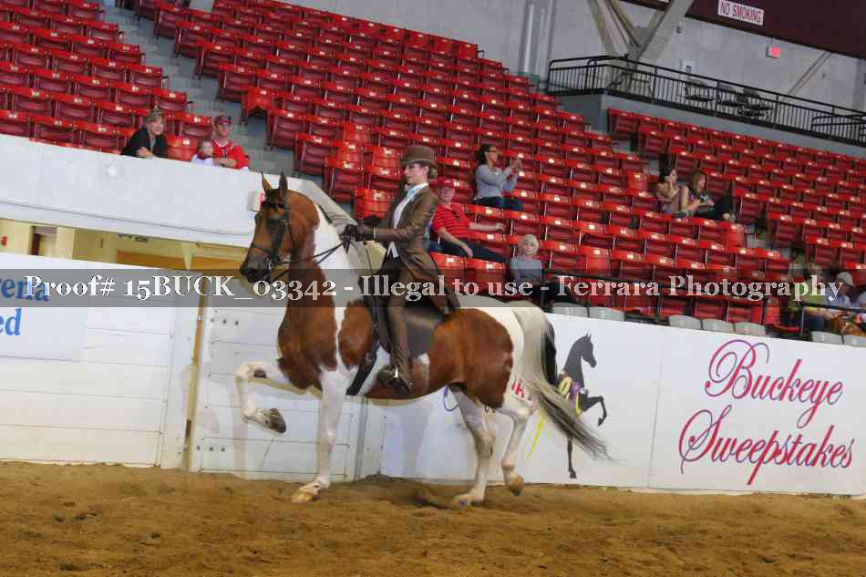 Proof 15BUCK_03342