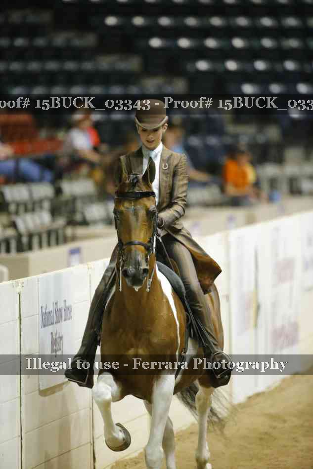 Proof 15BUCK_03343