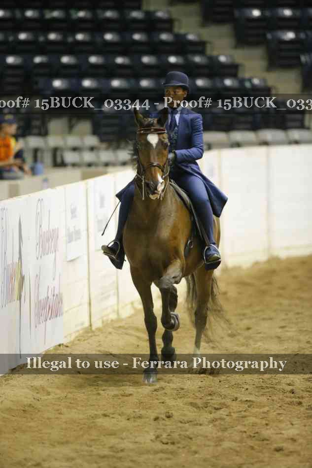 Proof 15BUCK_03344
