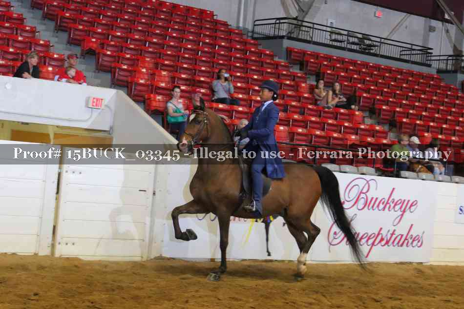 Proof 15BUCK_03345
