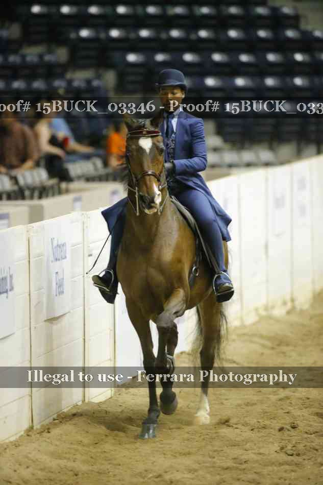 Proof 15BUCK_03346