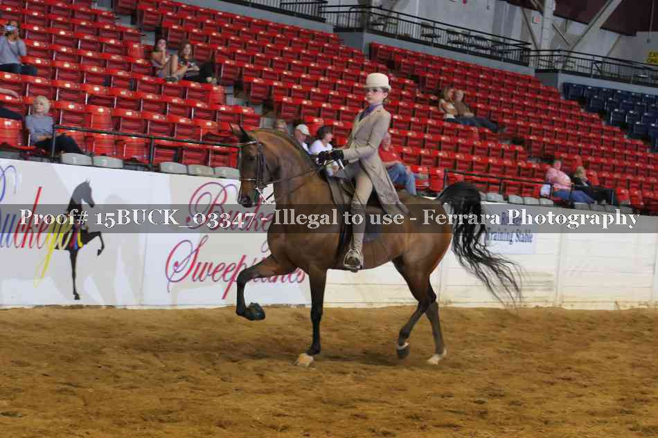 Proof 15BUCK_03347
