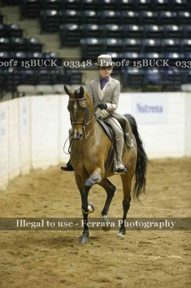 Proof 15BUCK_03348