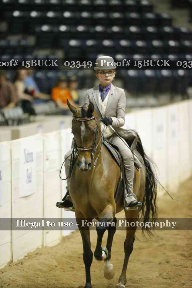 Proof 15BUCK_03349