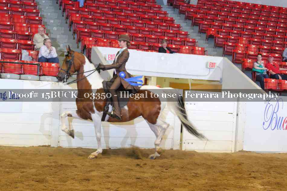 Proof 15BUCK_03350