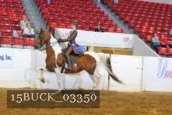 15BUCK_03350 proof