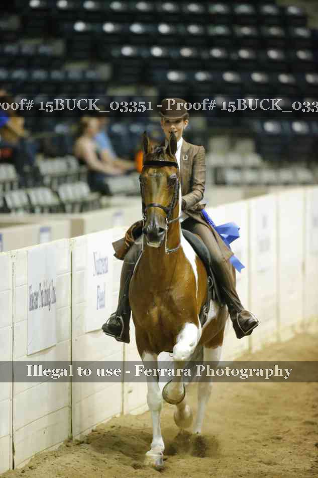 Proof 15BUCK_03351