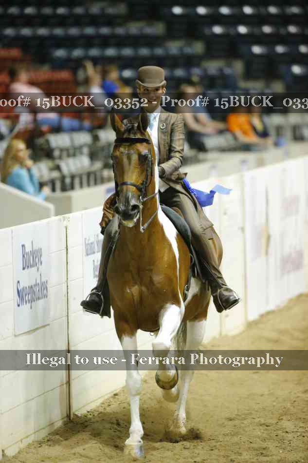 Proof 15BUCK_03352