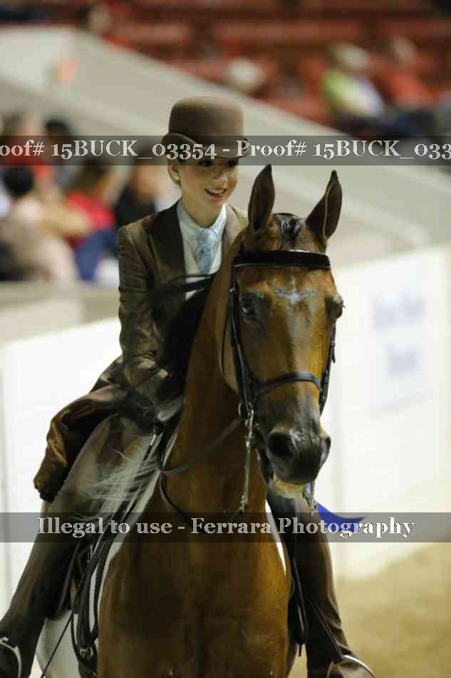 Proof 15BUCK_03354