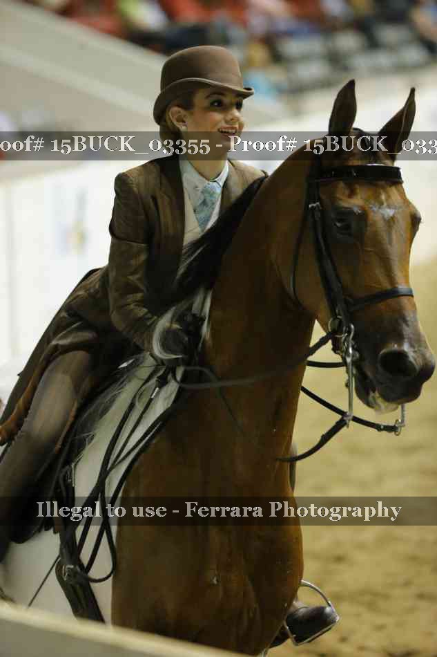 Proof 15BUCK_03355