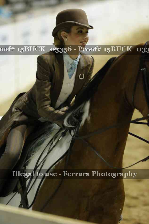 Proof 15BUCK_03356