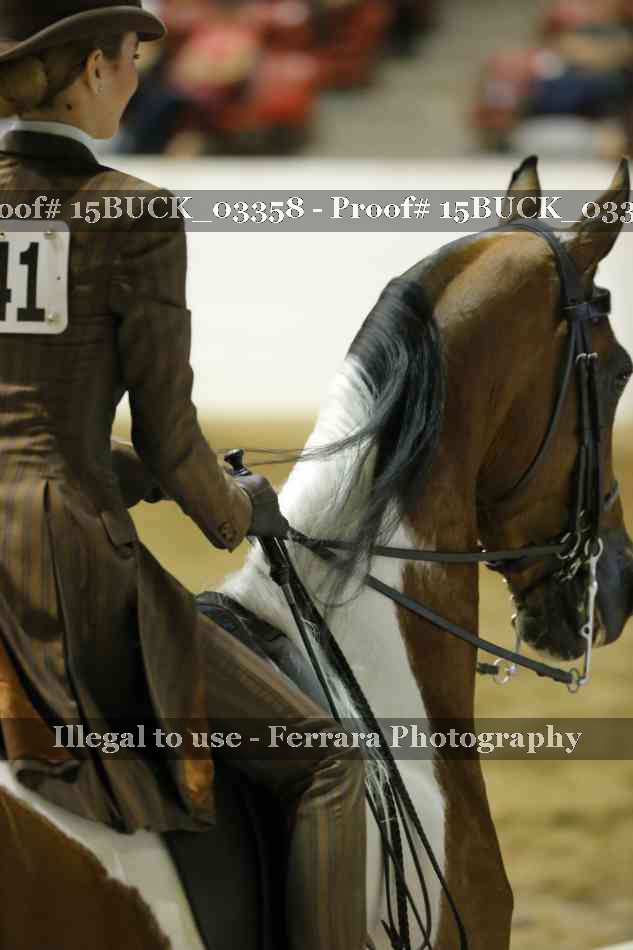 Proof 15BUCK_03358