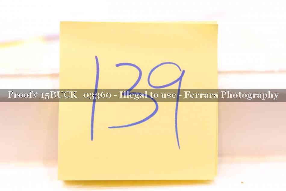 Proof 15BUCK_03360