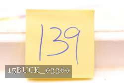15BUCK_03360 proof