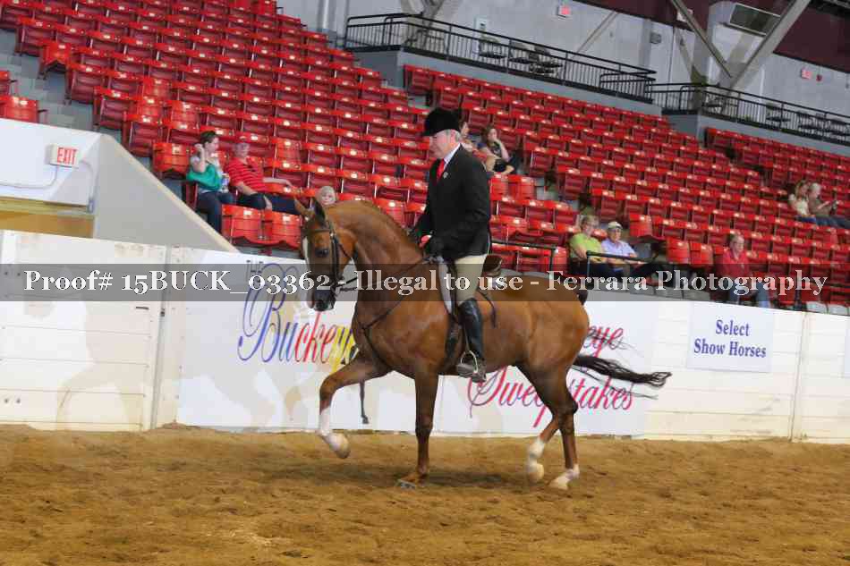 Proof 15BUCK_03362