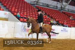15BUCK_03362 proof